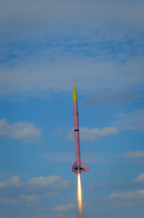 dsc_0053 r panter na ap 740 ns - let rw